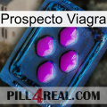 Prospecto Viagra 04